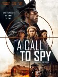 Locandina di A Call to Spy