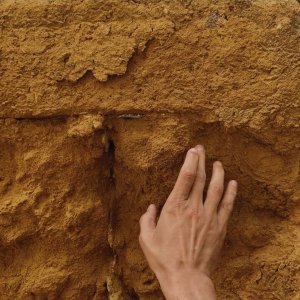 Fiori, fiori, fiori!: una scena del film