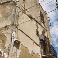 Fiori, fiori, fiori!: una scena del film