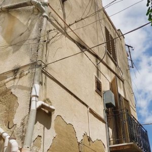 Fiori, fiori, fiori!: una scena del film