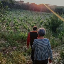 Fiori, fiori, fiori!: un momento del film