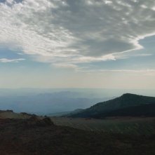 Fiori, fiori, fiori!: un'immagine del corto