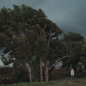 Notturno: un'immagine