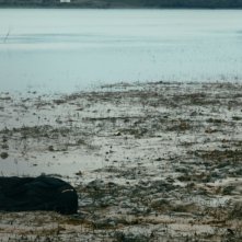 In Between Dying: un momento del film