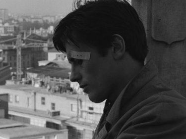 Rocco Alain Delon