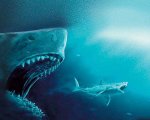 Shark - Il primo squalo: la spiegazione sui megalodonti che non è nel film