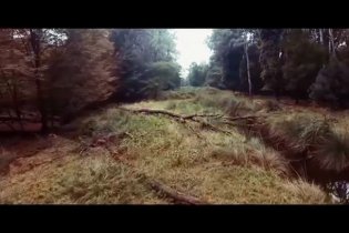 Virus Extreme Contamination - Trailer