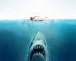 Lo Squalo: lo sceneggiatore spiega chi è il vero cattivo del film