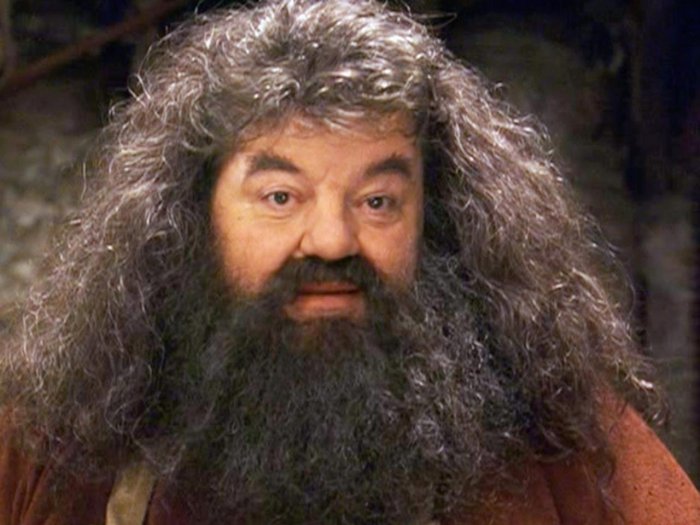 J.K. Rowling: Robbie Coltrane, Hagrid in Harry Potter, difende i suoi commenti transfobici