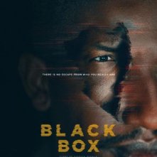 Locandina di Black Box