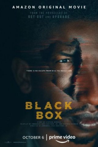 Locandina di Black Box
