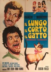 Locandina di Il lungo, il corto, il gatto