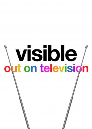 Locandina di Visible: Out on Television