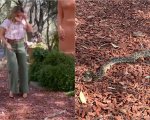 Jessica Alba ha quasi calpestato un serpente a sonagli: la reazione è esilarante (VIDEO)