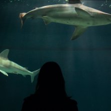 Petra: un momento del secondo episodio Giorno da cani