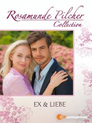 Locandina di Rosamunde Pilcher: Quando meno te lo aspetti