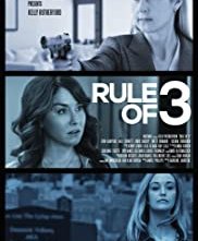 Locandina di La regola delle 3 mogli