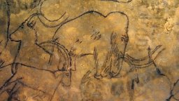 Genesis 2.0 -  Clip 5