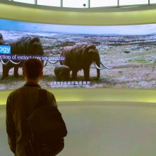 Genesis 2.0: un'immagine