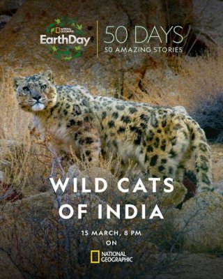 Locandina di Wild Cats of India