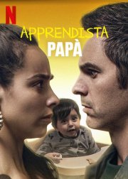 Locandina di Apprendista papà