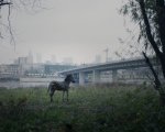 38° Bellaria Film Festival: vince Il Bei Doc “of Animals And Men” di Łukasz Czajka