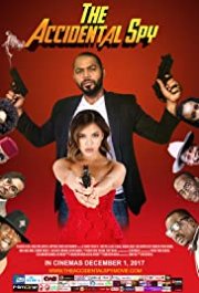 Locandina di The Accidental Spy