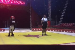 Storia di Ray (o l'asino che vola) -  Backstage   I Clowns