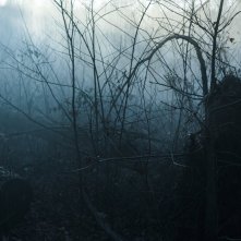 The Underground Railroad: una location dello show