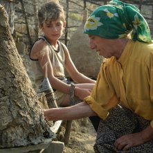 Honeyland: una foto del film