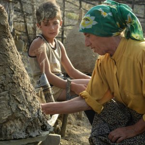 Honeyland: una foto del film