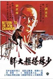 Locandina di Ritorno alla 36a camera