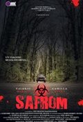 Locandina di Safrom