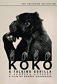 Locandina di Koko, il gorilla che parla