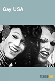 Locandina di Gay USA