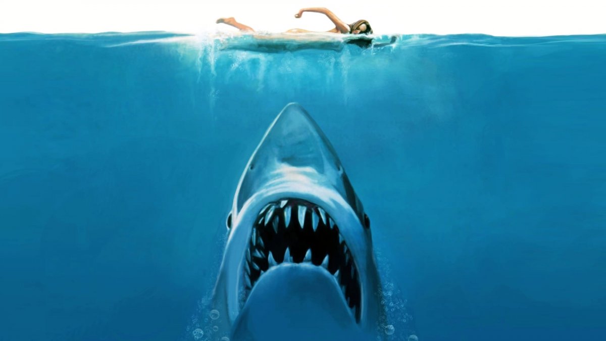 Lo Squalo Stasera Su Iris Il Film Cult Di Steven Spielberg