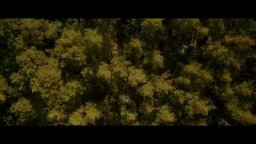 Nobody Sleeps In The Woods Tonight - Trailer