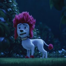 100% Lupo: un'immagine del film