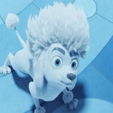 100% Lupo: una sequenza del film