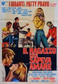 Locandina di Il ragazzo che sapeva amare