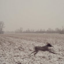 In un futuro Aprile - Il giovane Pasolini: una sequenza