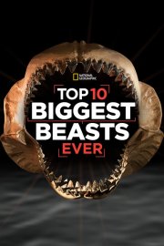 Locandina di Top 10 Biggest Beasts Eer