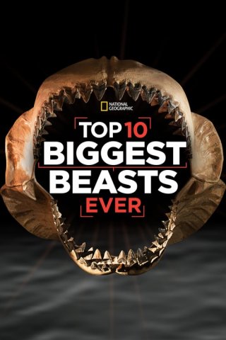 Locandina di Top 10 Biggest Beasts Eer