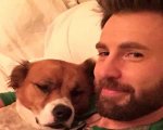 Chris Evans e il tatuaggio dedicato al suo cane Dodger: 'Non lo rimpiangerò mai'