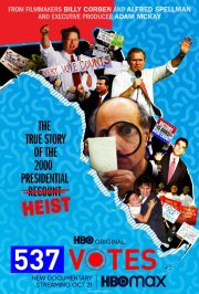 Locandina di 537 Votes