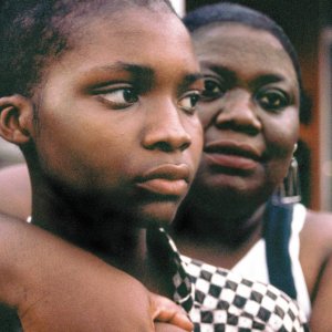 Come un leone: un'immagine del film