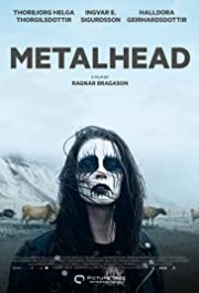 Locandina di Málmhaus