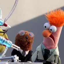 Ecco i Muppets: una foto di scena