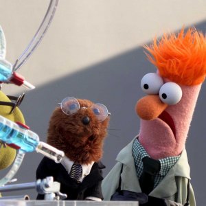 Ecco i Muppets: una foto di scena