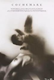 Locandina di Cochemare